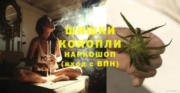 амф Корсаков