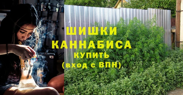 амф Корсаков