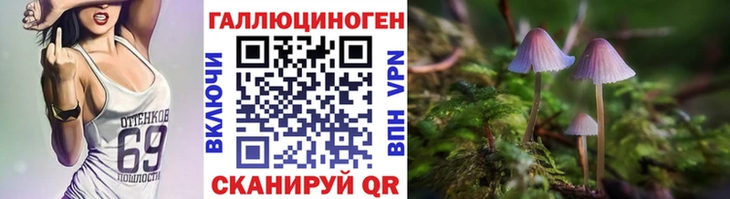 Купить  Гатчина  Псилоцибиновые грибы мицелий 